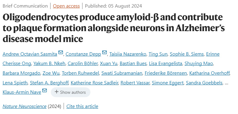 少突膠質(zhì)細(xì)胞在阿爾茨海默病模型小鼠中產(chǎn)生淀粉樣蛋白-β，并與神經(jīng)元一起促進(jìn)斑塊形成