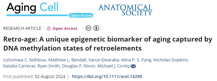Retro-age:一種由逆轉(zhuǎn)錄元件的DNA甲基化狀態(tài)捕獲的獨特的衰老表觀遺傳生物標志物 Retro-age:一種由逆轉(zhuǎn)錄元件的DNA甲基化狀態(tài)捕獲的獨特的衰老表觀遺傳生物標志物