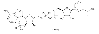 NADH(還原型輔酶I) NADH(還原型輔酶I)