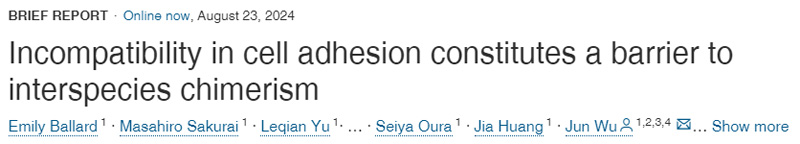 
細(xì)胞粘附的不相容性構(gòu)成了種間嵌合的障礙