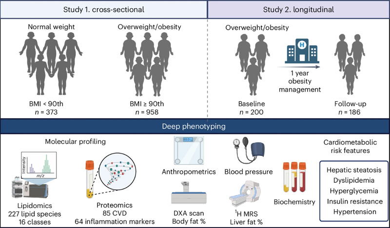 方案研究設(shè)計