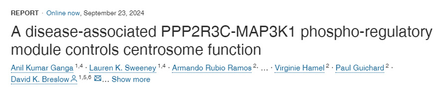與疾病相關(guān)的PPP2R3C-MAP3K1磷酸調(diào)節(jié)模塊控制中心體功能
與疾病相關(guān)的PPP2R3C-MAP3K1磷酸調(diào)節(jié)模塊控制中心體功能
