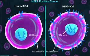 《自然醫(yī)學》：一種可以顯著延長乳腺癌患者生命的新藥