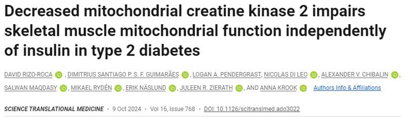 
2型糖尿病患者線粒體肌酸激酶2降低會損害骨骼肌線粒體功能