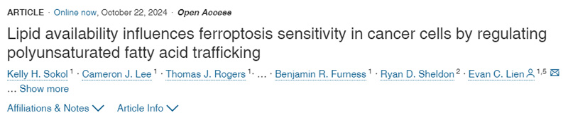 脂質可利用性通過調節(jié)多不飽和脂肪酸轉運影響癌癥細胞的脫鐵敏感性 脂質可利用性通過調節(jié)多不飽和脂肪酸轉運影響癌癥細胞的脫鐵敏感性
