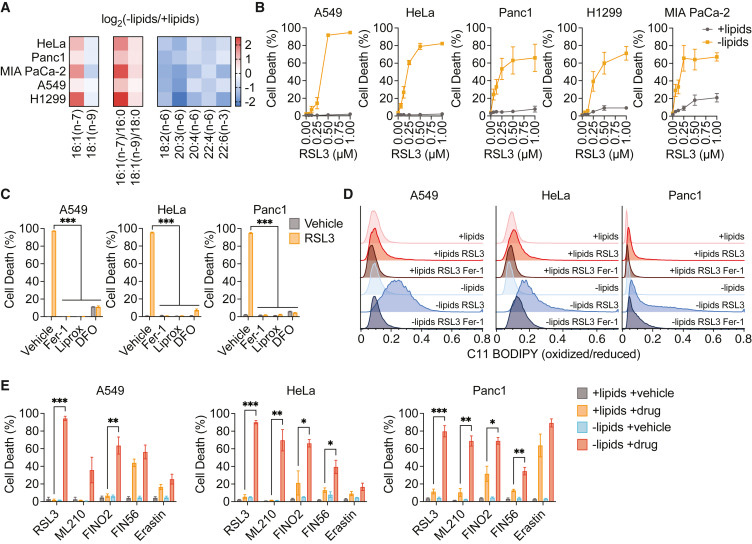 脂質限制使癌癥細胞對脫鐵敏感
脂質限制使癌癥細胞對脫鐵敏感