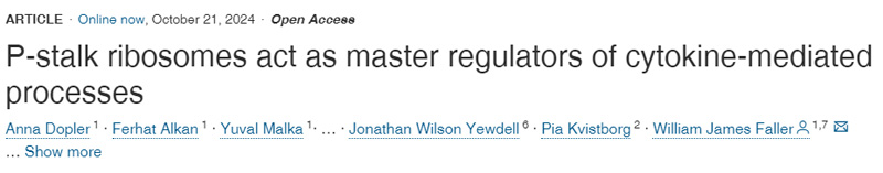 P-柄核糖體是細(xì)胞因子介導(dǎo)過程的主要調(diào)節(jié)因子
P-柄核糖體是細(xì)胞因子介導(dǎo)過程的主要調(diào)節(jié)因子