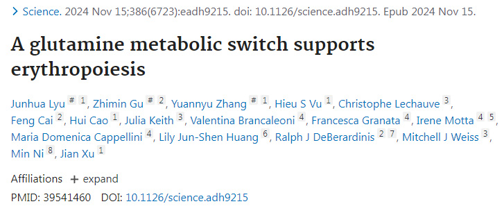 谷氨酰胺代謝開(kāi)關(guān)支持紅細(xì)胞生成