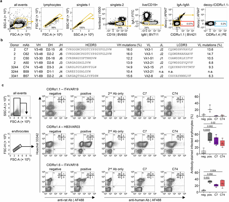 流式細(xì)胞術(shù)門(mén)控和單克隆抗體序列分析 流式細(xì)胞術(shù)門(mén)控和單克隆抗體序列分析
