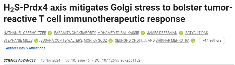 H2S-Prdx4軸減輕高爾基體應(yīng)激，增強腫瘤反應(yīng)性T細胞免疫治療反應(yīng)