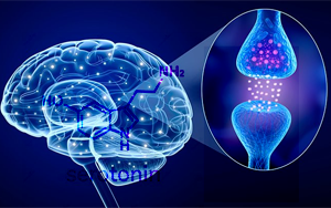 Nature提出了第一個直接證據(jù)：支持幾十年前的多巴胺-血清素對立假說
