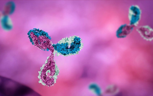 Seebio 病理級抗體 點亮您的免疫組化病理檢測