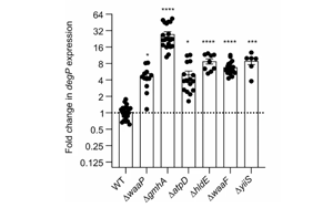 Nature子刊：耐藥細(xì)菌的一個(gè)“鋅”弱點(diǎn)