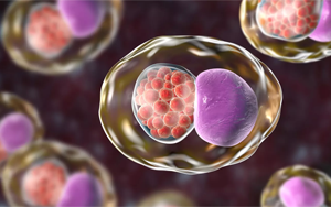 Cell：微生物組的變化預(yù)測性傳播疾病的風險