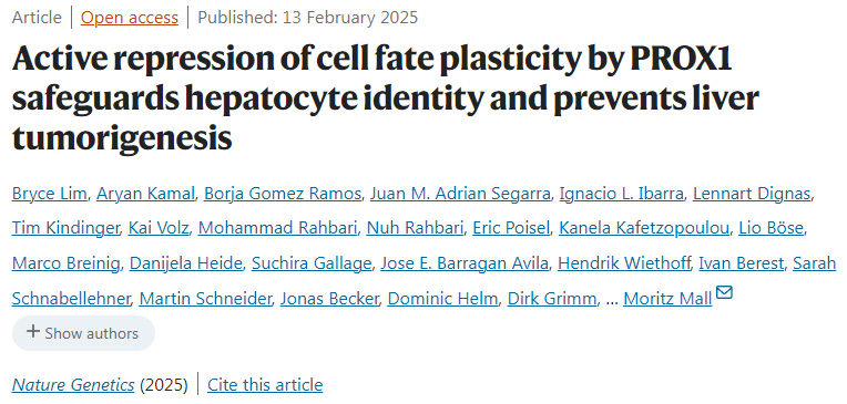 PROX1對細(xì)胞命運(yùn)可塑性的主動(dòng)抑制保護(hù)了肝細(xì)胞的身份并預(yù)防了肝臟腫瘤的發(fā)生