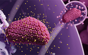 生物醫(yī)藥領(lǐng)跑2024《科學(xué)》十大突破：從艾滋病到CAR-T療法，未來已來