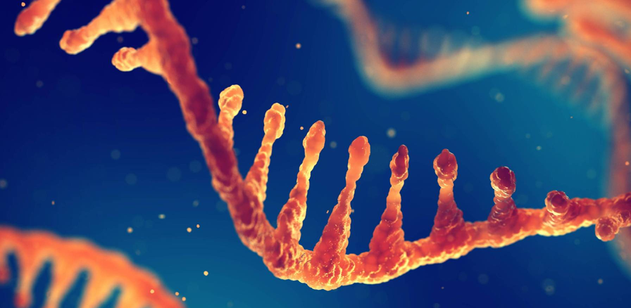 RNA農(nóng)藥 RNA農(nóng)藥