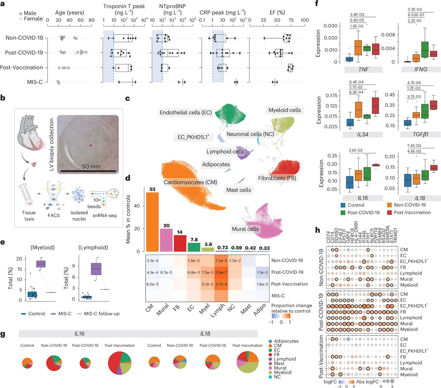 非COVID-19、COVID-19后以及疫苗接種后的炎癥性心肌病具有獨(dú)特的細(xì)胞和分子特征
