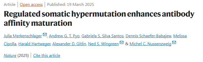 受調(diào)控的體細(xì)胞高頻突變促進(jìn)抗體親和力成熟 受調(diào)控的體細(xì)胞高頻突變促進(jìn)抗體親和力成熟