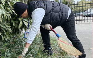 春掃落葉迎新綠，西寶同心繪凈界