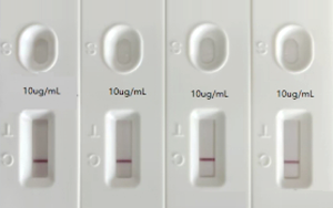 人偏肺病毒（hMPV）抗原檢測(cè)-免疫層析 （膠體金、彩色乳膠及熒光免疫層析）解決方案