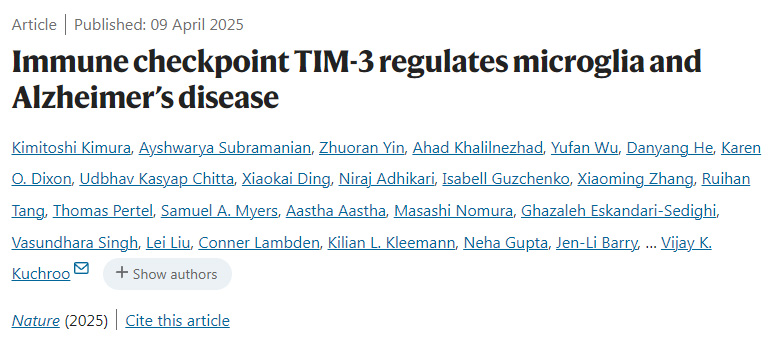 免疫檢查點TIM-3調(diào)節(jié)小膠質(zhì)細胞和阿爾茨海默病