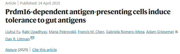 Prdm16依賴性抗原呈遞細(xì)胞誘導(dǎo)對腸道抗原的耐受