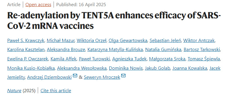 TENT5A的再腺苷酸化增強(qiáng)SARS-CoV-2 mRNA疫苗的療效