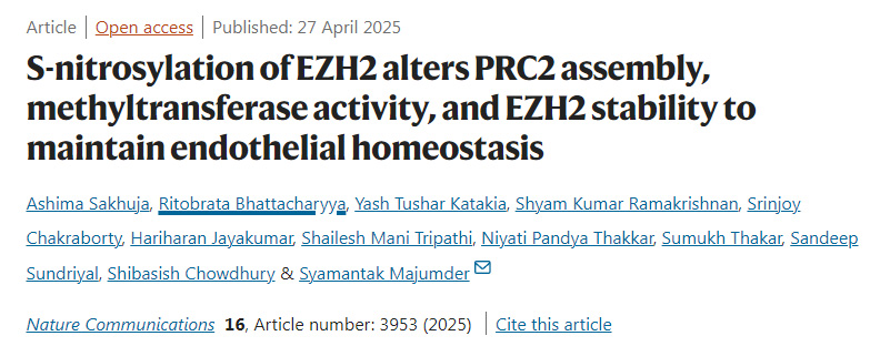 EZH2的S-亞硝基化通過改變PRC2復(fù)合物的組裝、甲基轉(zhuǎn)移酶活性及EZH2的穩(wěn)定性來維持內(nèi)皮穩(wěn)態(tài)