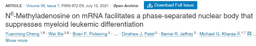  mRNA上的N6-甲基腺苷通過(guò)促進(jìn)相分離核體的形成抑制髓系白血病分化