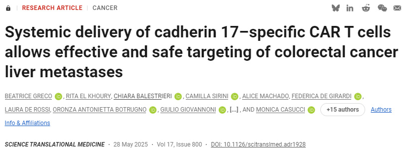 鈣黏蛋白17特異性CAR T細胞的全身遞送可實現(xiàn)結(jié)直腸癌肝轉(zhuǎn)移灶的安全有效靶向治療