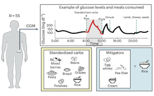 Nature Medicine：同樣是吃碳水，為什么每個(gè)人的血糖反應(yīng)不一樣？