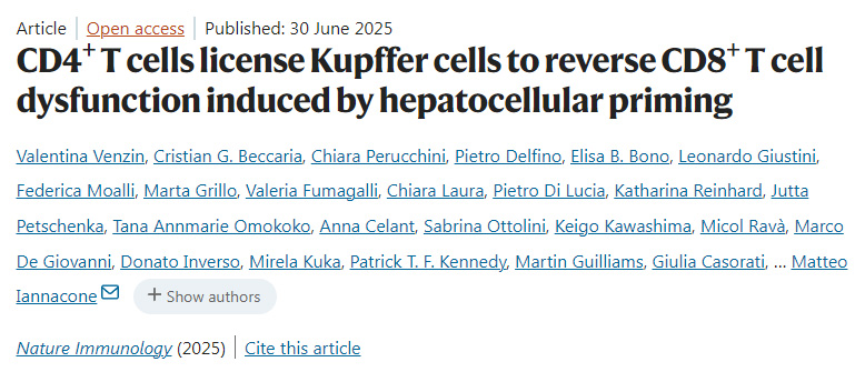 CD4+ T細(xì)胞允許庫普弗細(xì)胞逆轉(zhuǎn)肝細(xì)胞啟動誘導(dǎo)的CD8+ T細(xì)胞功能障礙