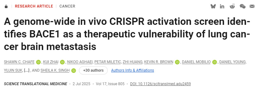 CD4+ T細(xì)胞允許庫(kù)普弗細(xì)胞逆轉(zhuǎn)肝細(xì)胞啟動(dòng)誘導(dǎo)的CD8+ T細(xì)胞功能障礙
