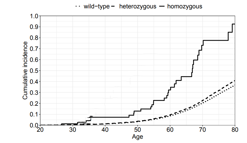 FANCM基因c.5101C>T位點(diǎn)純合突變攜帶者、雜合突變攜帶者及野生型（wt）個(gè)體的首次浸潤性癌癥累積發(fā)病率
