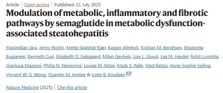 司美格魯肽在代謝功能障礙相關(guān)脂肪性肝炎中對(duì)代謝、炎癥和纖維化通路的調(diào)節(jié)作用