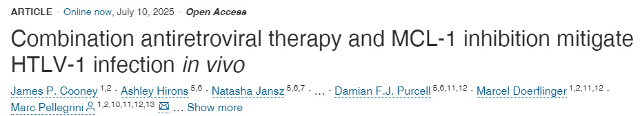 體內實驗表明：聯(lián)合抗逆轉錄病毒療法與MCL-1抑制可緩解HTLV-1感染