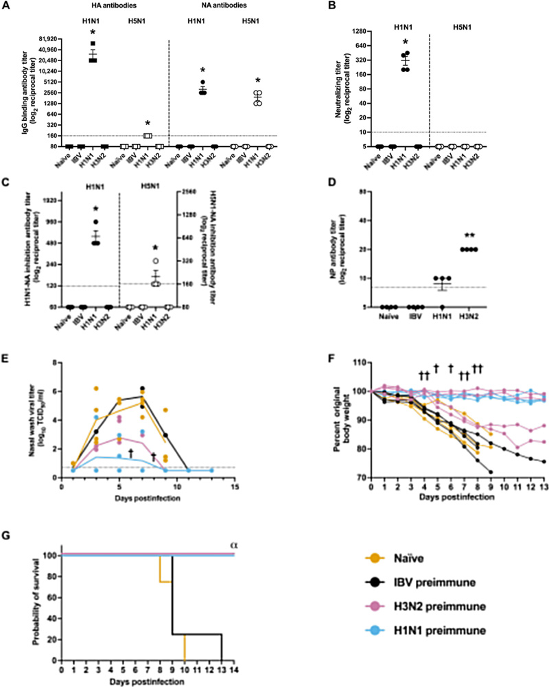 針對季節(jié)性H3N2病毒或2009年甲型H1N1流感病毒的預(yù)存免疫力，可有效預(yù)防雪貂因甲型水貂流感病毒（H5N1）感染引發(fā)的嚴(yán)重疾病