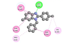組蛋白去乙?；?通過去乙?；c泛素化修飾ATG3調控自噬的新機制