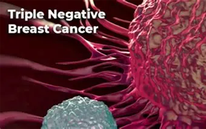 環(huán)狀RNA適配體靶向IGF2BP2克服BET抑制劑獲得性耐藥：三陰性乳腺癌治療新策略