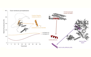 Nature子刊：人工智能在古代微生物中發(fā)現(xiàn)新抗生素