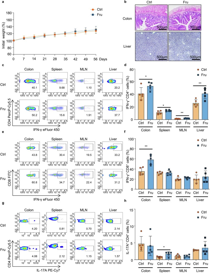高果糖攝入會(huì)促進(jìn)Th1和Th17細(xì)胞介導(dǎo)的免疫應(yīng)答