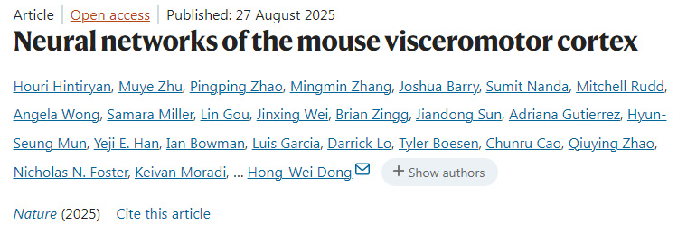 小鼠內(nèi)臟運(yùn)動皮層的神經(jīng)網(wǎng)絡(luò)