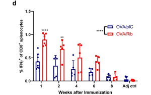 將免疫療法效果提升近3倍！這款進入1期臨床的抗癌疫苗，會是癌癥“終結者”嗎？