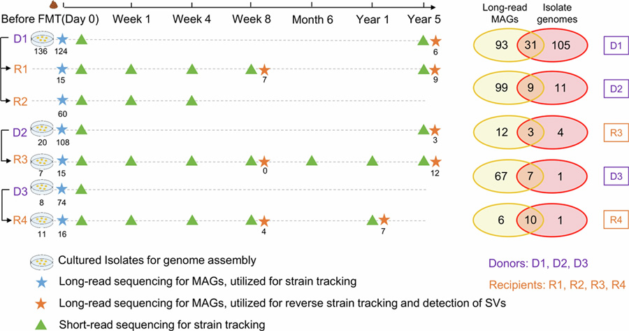 CDI患者樣本采集與糞菌移植研究設計闡述