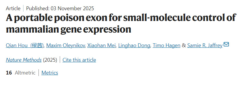 通用型毒性外顯子：小分子調(diào)控哺乳動物基因表達的新策略