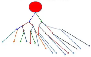 譜系限制性干細(xì)胞對(duì)人類造血的穩(wěn)定克隆貢獻(xiàn)揭示造血干細(xì)胞命運(yùn)決定新機(jī)制