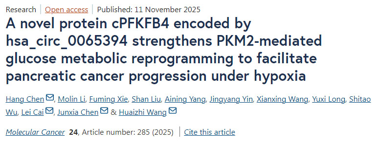 由hsa_circ_0065394編碼的新型蛋白cPFKFB4通過增強(qiáng)PKM2介導(dǎo)的葡萄糖代謝重編程，促進(jìn)胰腺癌在缺氧條件下的進(jìn)展