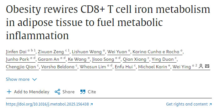 肥胖重塑脂肪組織中CD8+ T細(xì)胞的鐵代謝以加劇代謝性炎癥