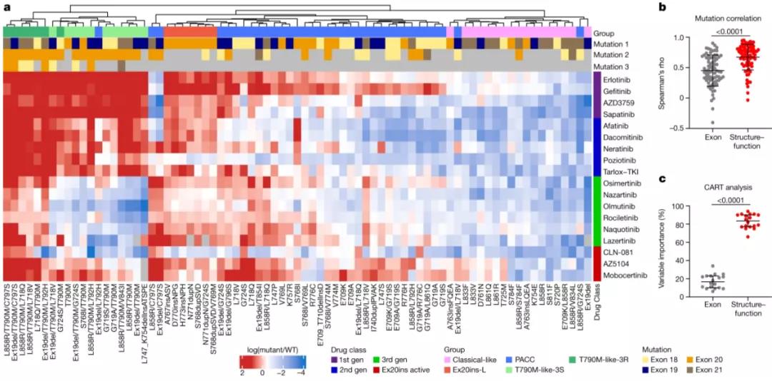 Nature重磅：這種致死率高的惡性腫瘤，或?qū)⒂瓉砭珳?zhǔn)治療時(shí)代